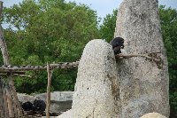 POITIERS Zoo de La PALMYRE