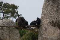 POITIERS Zoo de La PALMYRE