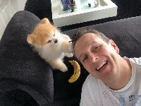 profil de Aigle-Royal profil de Aigle-Royal