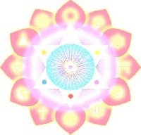 photo de la sortie Stage chant harmonique