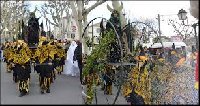 sortie CARNAVAL ST REMY PROVENCE photo de la sortie CARNAVAL ST REMY PROVENCE