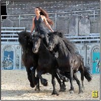 sortie Spectacle Equestre photo de la sortie Spectacle Equestre