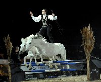 photo de la sortie Cabaret Cheval Passion