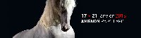 sortie Salon Cheval Passion photo de la sortie Salon Cheval Passion