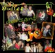 BIARRITZ buffet dansant des dailyrants