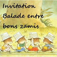 photo de la sortie friendly strolls bois des manants