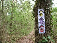 photo de la sortie Marche ADEPS &agrave; MORIALME (Florennes) 
