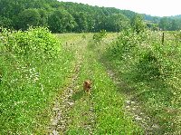 photo de la sortie Marche FFBMP &agrave; PHILIPPEVILLE