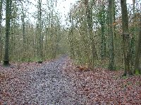 photo de la sortie Marche FFBMP &agrave; Hasti&egrave;re