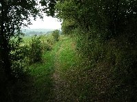 photo de la sortie Marche FFBMP &agrave; CORENNE