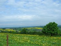 photo de la sortie Marche FFBMP &agrave; Winenne