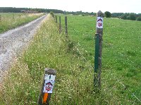 photo de la sortie Marche ADEPS &agrave; Hasti&egrave;re