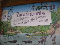 photo de la sortie Marche ADEPS &agrave; SOMMIERE (Onhaye)