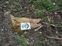 photo de la sortie Marche ADEPS &agrave; ONHAYE