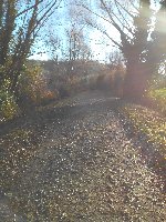 photo de la sortie Se remettre en Marche