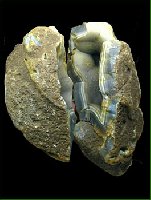 photo de la sortie Le C?ur d'agate d'Uruguay