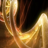 photo de la sortie Conf&eacute;rence : Lib&eacute;ration Holographique du "coeur-p&eacute;ricarde"