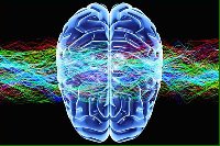 photo de la sortie Neurosciences et Signatures Fr&eacute;quentielles