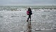 HAVRE March&eacute; les pieds dans l'eau