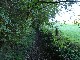 P1040072 (Medium).JPG LIEGE Marche ADEPS de 20 Km à Francorchamps