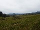 LIEGE Marche ADEPS de 20 Km à Havelange
