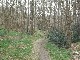 P1220258 (Medium).JPG LIEGE Marche ADEPS de 20 Km à Trooz