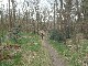 P1220259 (Medium).JPG LIEGE Marche ADEPS de 20 Km à Trooz