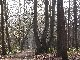 LIEGE balade dans les bois de Seraing