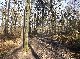 LIEGE balade dans les bois de Seraing