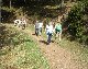 LIEGE Visite du ch&acirc;teau de Reinhardstein et promenade dans les bois