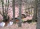 LIEGE Visite du ch&acirc;teau de Reinhardstein et promenade dans les bois
