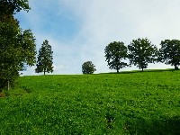 LIEGE Marche ADEPS de 20 Km à Stavelot