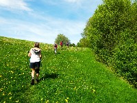 LIEGE marche ail des ours 14km 