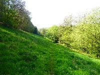 LIEGE marche ail des ours 14km 