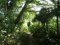 LIEGE Marche ADEPS de 20 Km à Stavelot