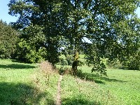 LIEGE Marche ADEPS de 20 Km à Stavelot