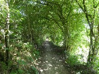 LIEGE Marche ADEPS de 20 Km à Stavelot