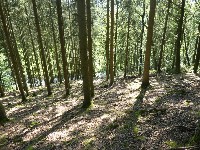 LIEGE Marche ADEPS de 20 Km à Stavelot