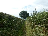 LIEGE Marche MOKAMO 20 Km à Olne