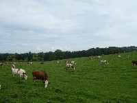 LIEGE Marche MOKAMO 20 Km à Olne