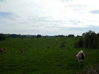 LIEGE Marche MOKAMO 20 Km à Olne