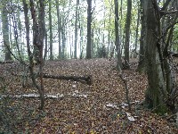 LIEGE Marche ADEPS de 20 Km à Fraiture