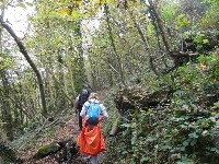 LIEGE Marche ADEPS de 20 Km à Fraiture