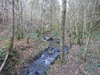 LIEGE Marche ADEPS de 20 Km à Filot