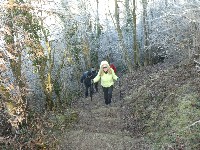 LIEGE Marche ADEPS de 20 Km à Aywaille