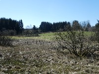 LIEGE Marche maison de 20 km à 