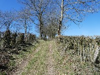 LIEGE Marche maison de 20 km à 