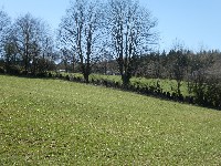LIEGE Marche maison de 20 km à 
