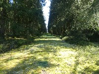 LIEGE Marche maison de 20 km à 