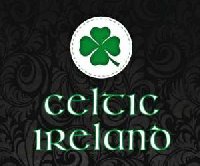 photo de la sortie Back to the 90's au Celtic Ireland